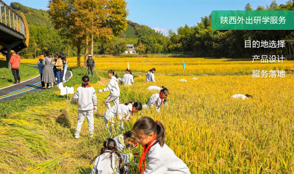 西安外出研学旅游