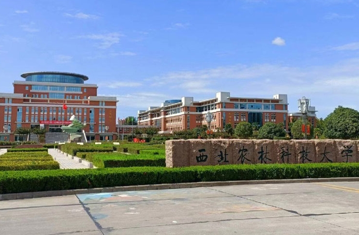 西安研学机构
