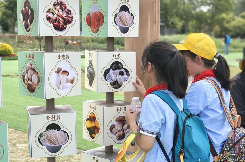 研学课程设计服务